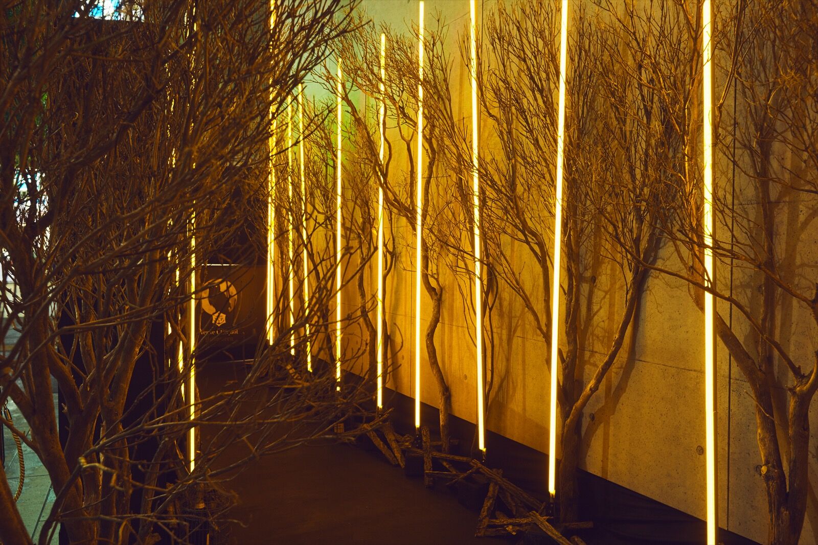 Veuve Clicquot Yelloween — 02